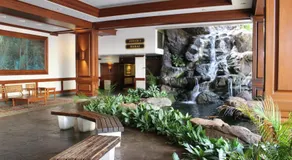 PonoAloha - Image 3