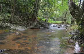 Abad Brookside Wayanad - Image 5