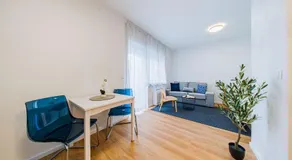 Zagreb 226 - 227 - 228 - 229 - 230 - 231 - 6 Units - Studio & One Bedroom Apartments - New - Apartment - Flexible Keybox Entry - Modern - Monthly Rent - Image 4
