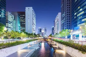 Sungshin University Station Ivy - Image 4