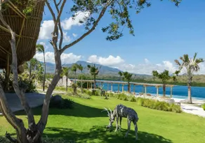 Oceanfront Serenity|1BR Hideaway with Beach Access - Image 4