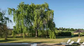 Casa das Jardas - Image 4