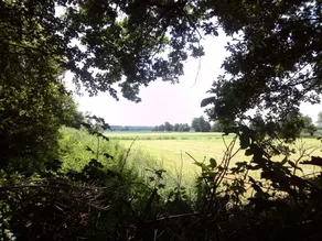 Farmhouse in Waskemeer with Large Garden - Image 2