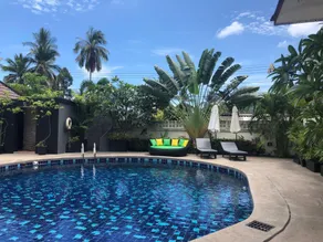 Tropical Palm - Image 5