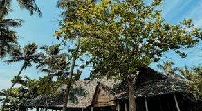 Varkala Marine Palace - Image 4