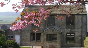 Coddy's Farm - Image 5
