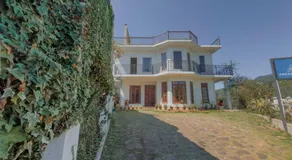 Dream Stay Green - Image 4