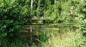Domaine de Beaudon Les Coucous - Image 5