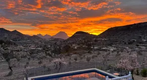 Casa Pura Vida - Image 3