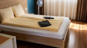 Hotel Doina 1 Tășnad - Image 3