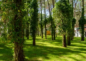 Baia Salima Kemer - Image 3