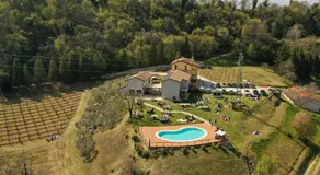 Le Vigne Incantate - Image 4