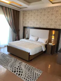 Dolphin Ras El-Bar Hotel - Image 2