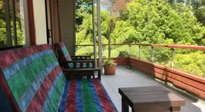 Reasons Eco Lodge the Wooden A Frame in Hamilton - Image 5