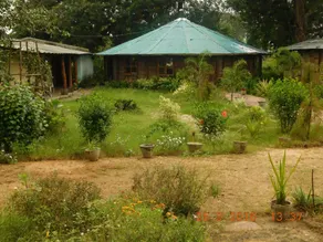 Royal Heritage Bandhavgarh - Image 4