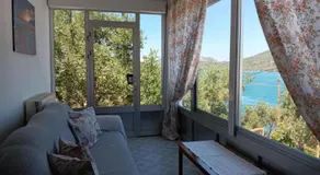Pansofia - Image 3