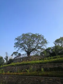Wuhan Yunshanhu Hotel (Huashan New City Software Park Branch) - Image 4