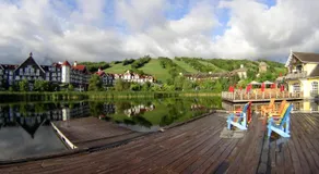 Quiet Hillside Studio - Wifi, Pool, Close to The Village - Image 2