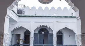 Riad Yamcha - Image 4