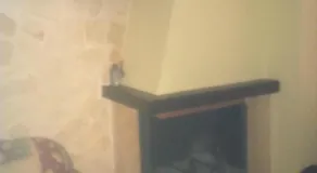 Arianna House - Image 2