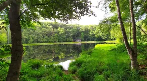 Oeroeboeroe - Image 2