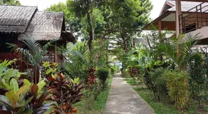 Khao Sok Jungle Huts Resort - Image 2