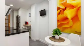 Apartamento Mariana Pineda Centro - Image 4