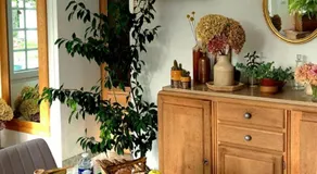 Chambre d'hôte à "Tandem House" - Image 2