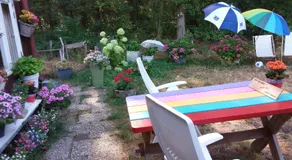 Regina Vught - Image 5