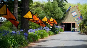 Oakdene Vineyards Guesthouse - Image 3