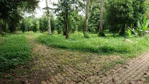 Vuon Thu Guest House Garden - Image 4