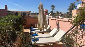 Riad Chameleon - Image 4