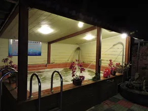 Longchi Hot-Spring Hotel - Image 4
