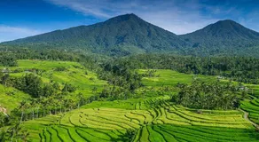 Swara Tenang Wooden Lodge - Image 5