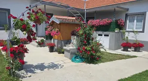 Apartman Villa Ruža - Image 4