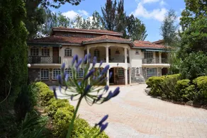 Margarita House - Image 1