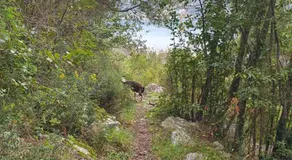 Home of Laurel - Image 4
