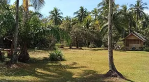 koh mook oyoy reggaebar bungalow - Image 5