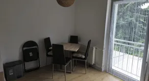 Dschungel-Apartment Steubenstr 13 - Image 3