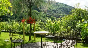 La libellula rossa - Image 3