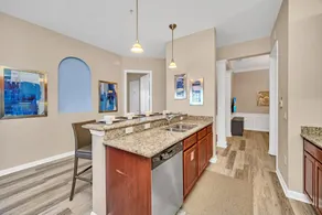 Lakeview Condo Directly Next To Pool Near WDW - Image 5