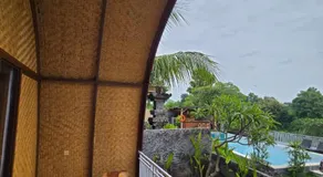 Eco Moringa Garden - Image 3