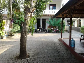 Bamboo House - Image 4