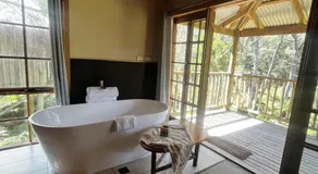 Lemonthyme Wilderness Retreat - Image 3