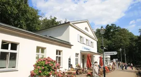 Mollibahnhof - Heiligendamm Mollibahnhof Ferienwohnung 05 - Image 4