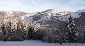La Ferme du Vieux Sapin - Image 4