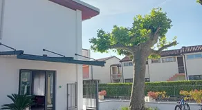 Bellerive Ristorante Albergo - Image 5