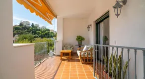 Biznaga Hols - Image 3