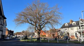 Manor Green Cottage - Image 3
