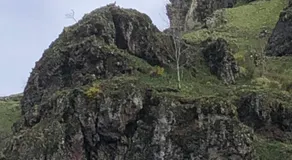 La Gentiane - Image 5